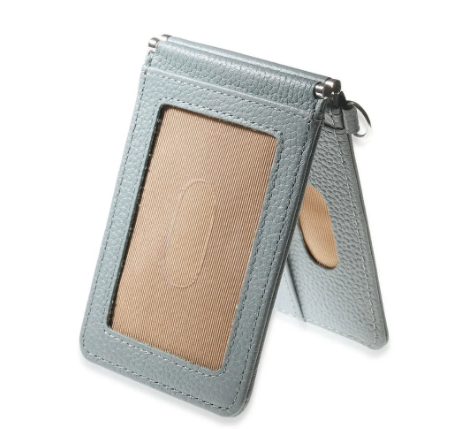 Pass Case